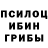Псилоцибиновые грибы прущие грибы Khuligan_siti