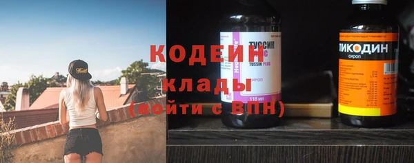 индика Балабаново