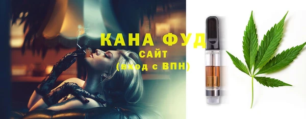 индика Балабаново