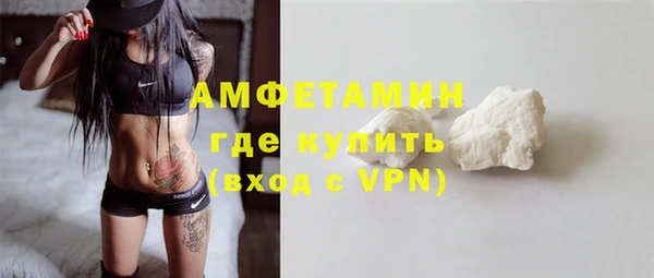 индика Балабаново
