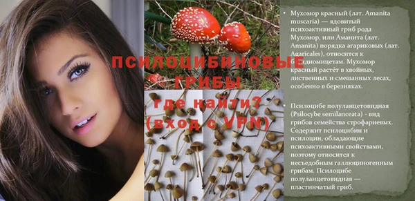индика Балабаново